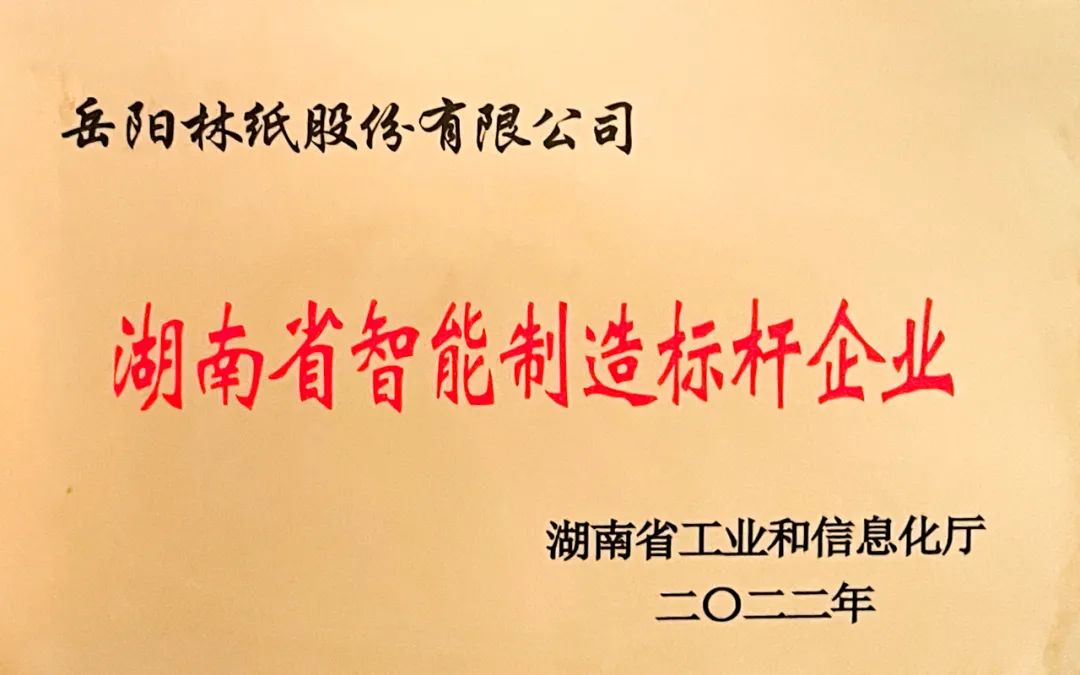 湖南省智能制造標桿企業(yè)